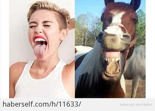 Miley Cyrusun Kelimenin Tam Anlamyla At Gibi Bir Kadn Olduunu